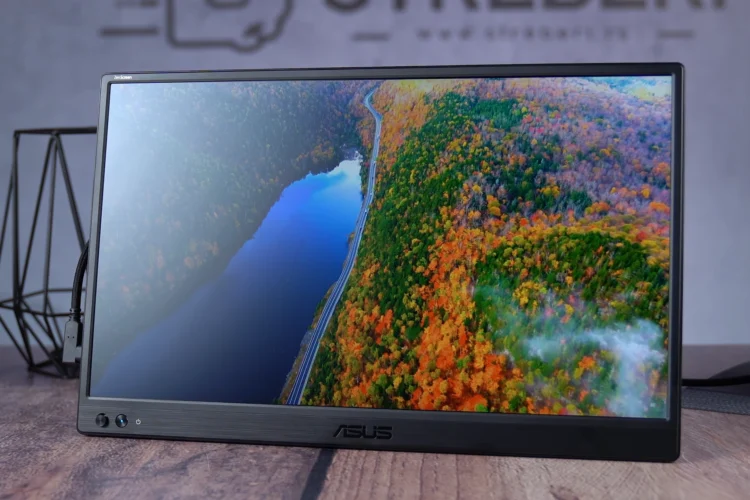 ASUS ZenScreen MB169CK recenzija