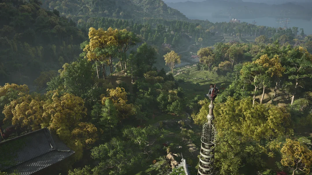 A character perched atop a tall structure surveys a lush, expansive forest landscape in a scene from the game Black Myth: Wukong.